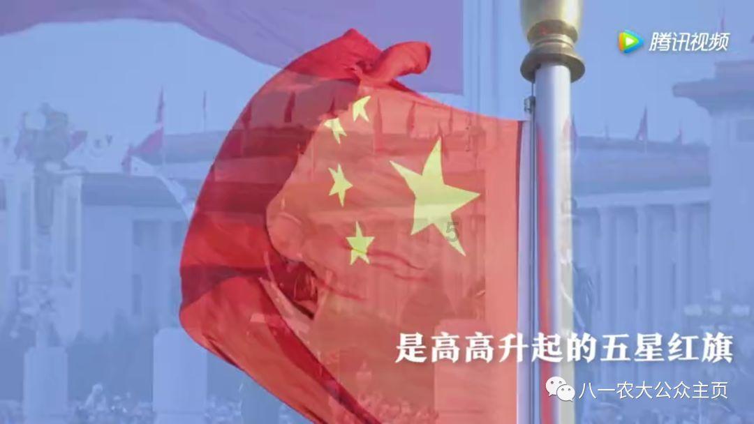 逃离变色龙森林