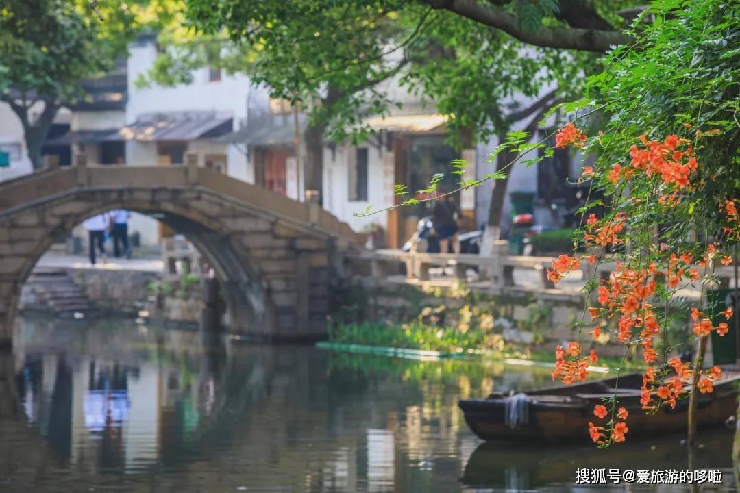 探探猫历险记